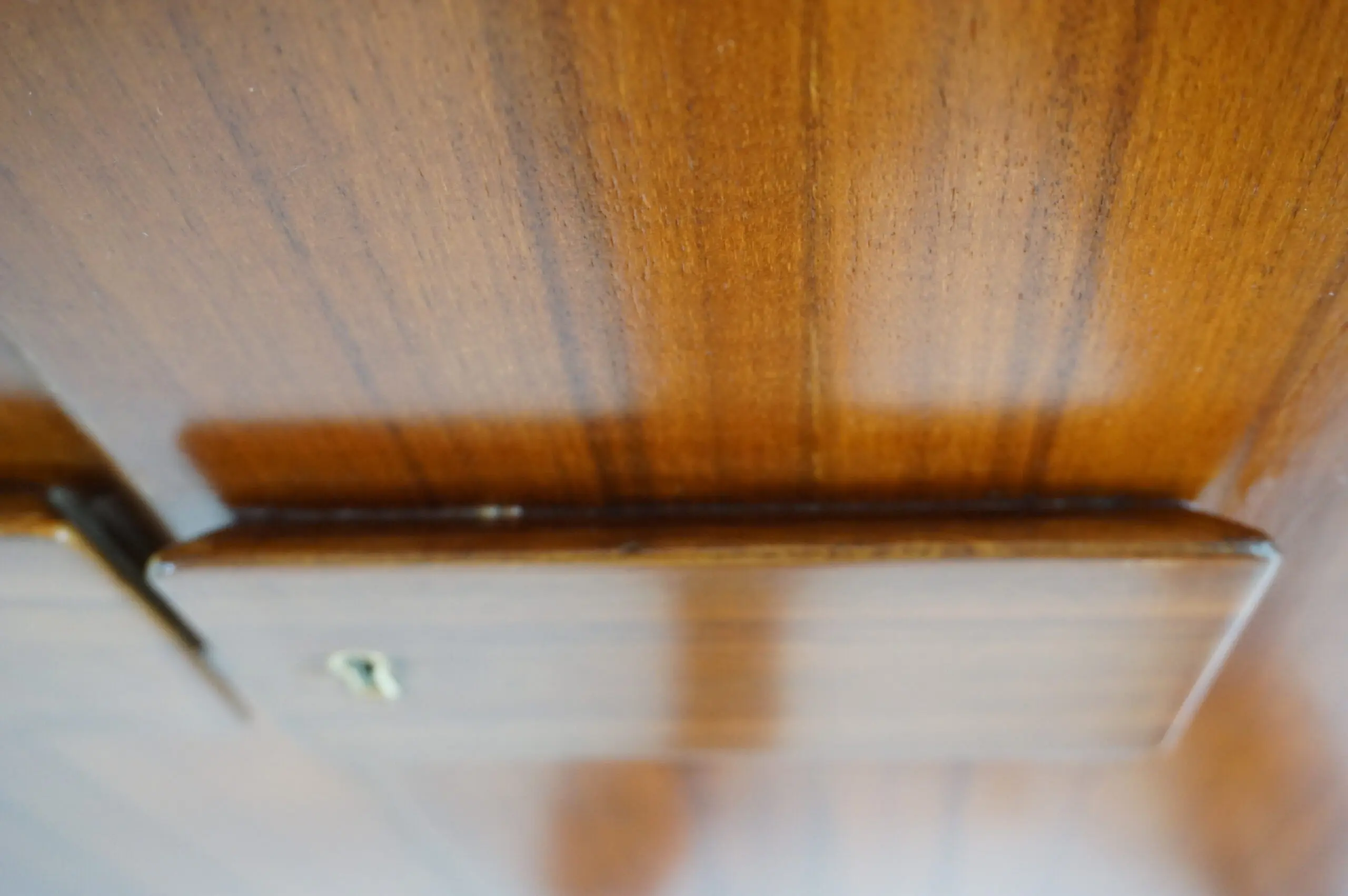 Pair of Gio Ponti Wardrobe  Doors from the Hotel Royal, Naples, 1955 — photo 12