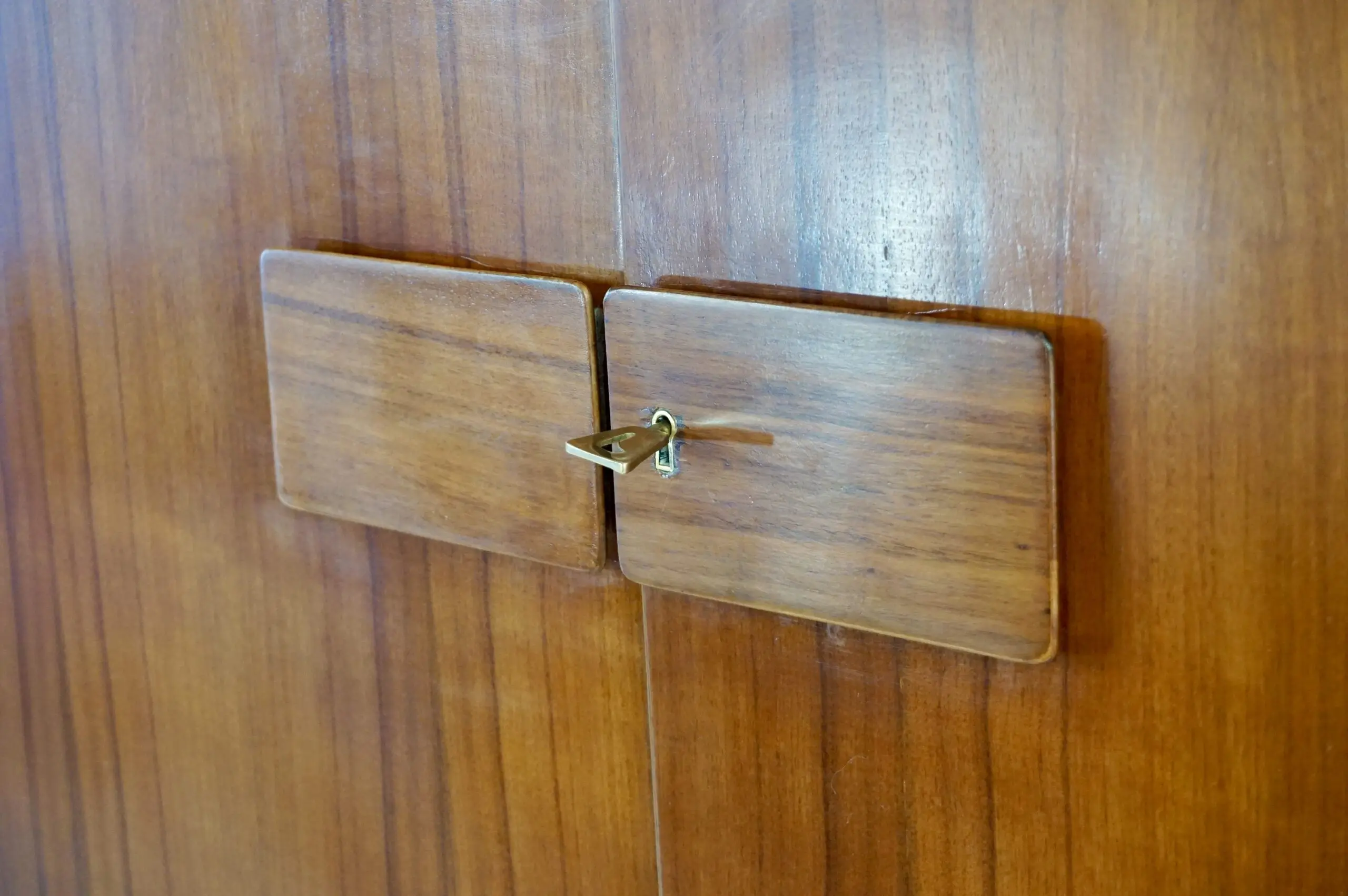 Pair of Gio Ponti Wardrobe  Doors from the Hotel Royal, Naples, 1955 — photo 7