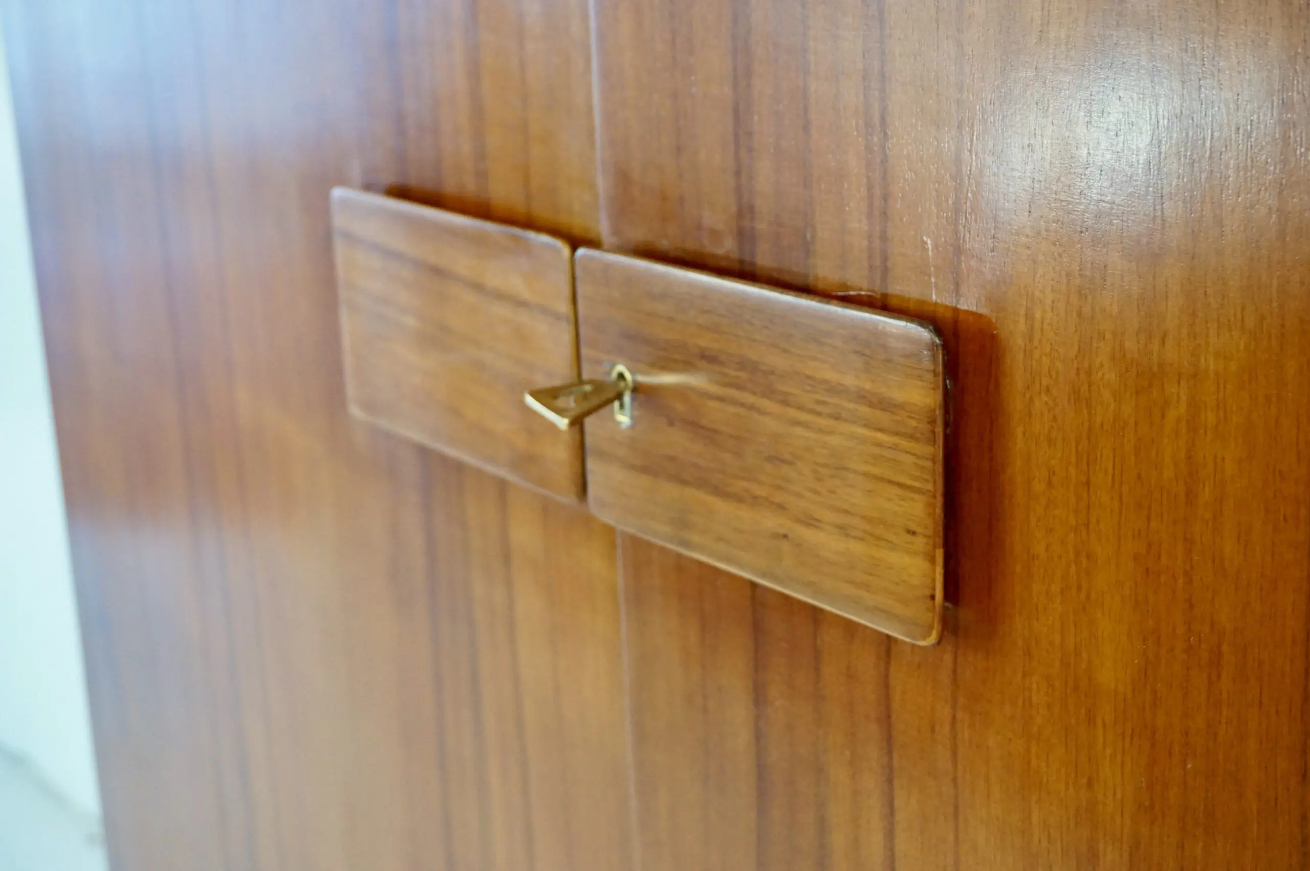 Pair of Gio Ponti Wardrobe  Doors from the Hotel Royal, Naples, 1955 — photo 9