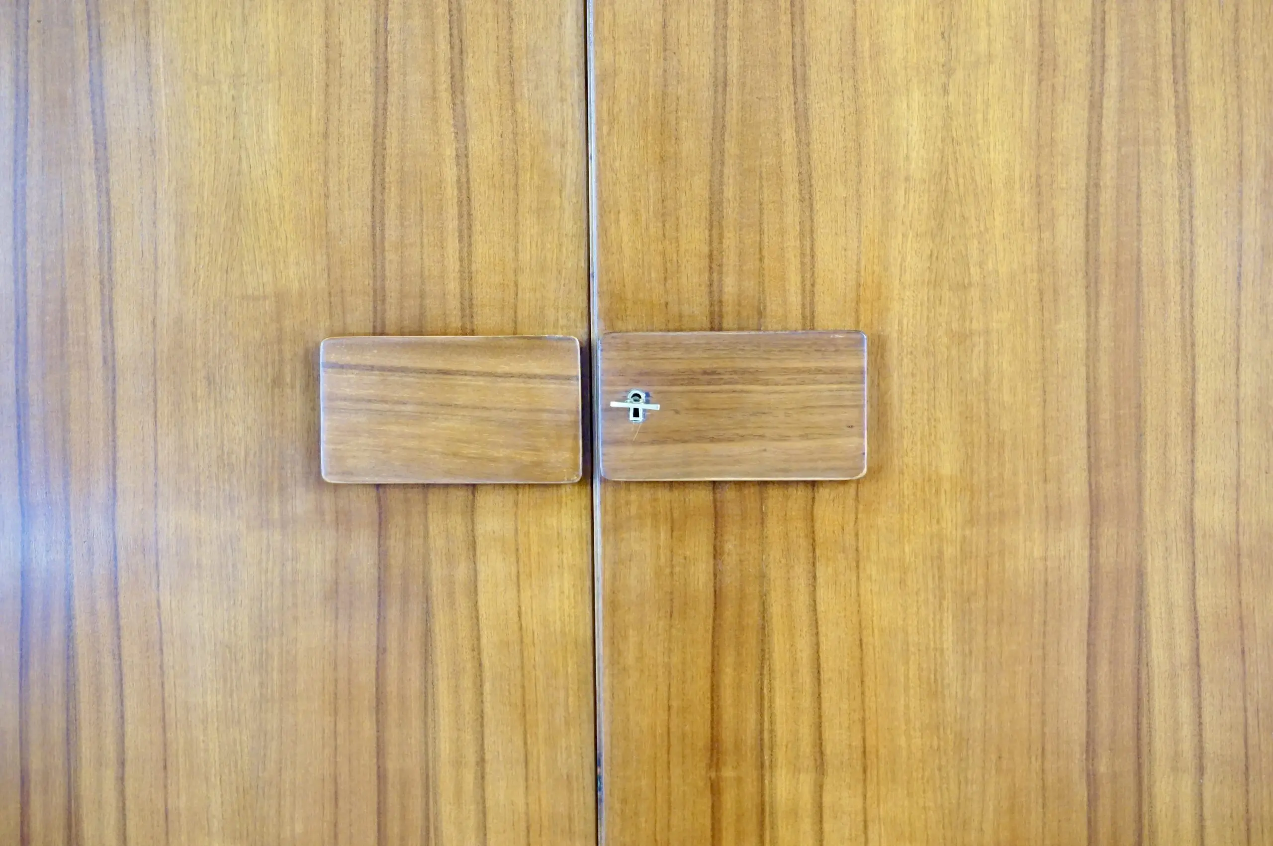 Pair of Gio Ponti Wardrobe  Doors from the Hotel Royal, Naples, 1955 — photo 5