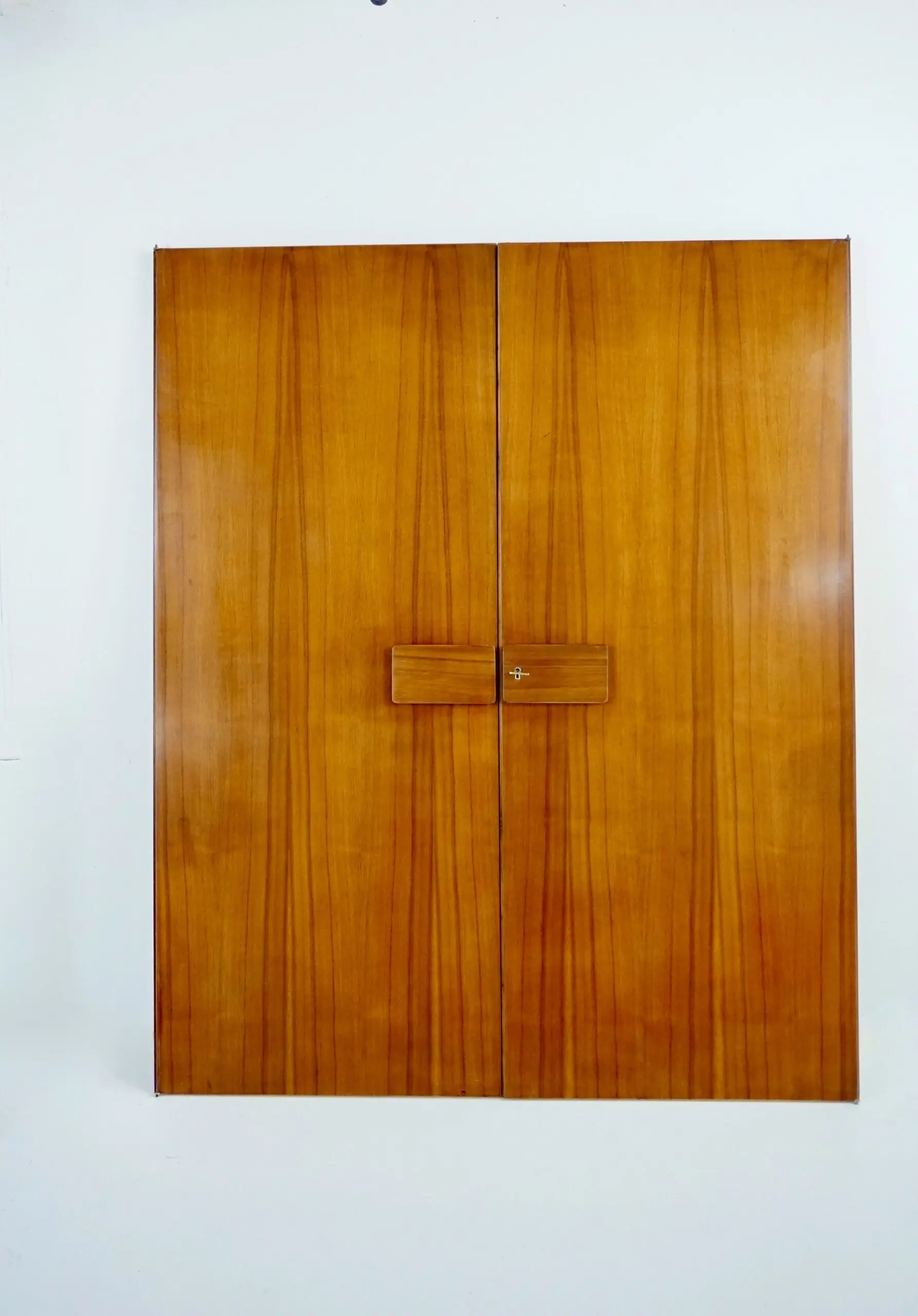Pair of Gio Ponti Wardrobe Doors from the Hotel Royal, Naples, 1955 — image 3