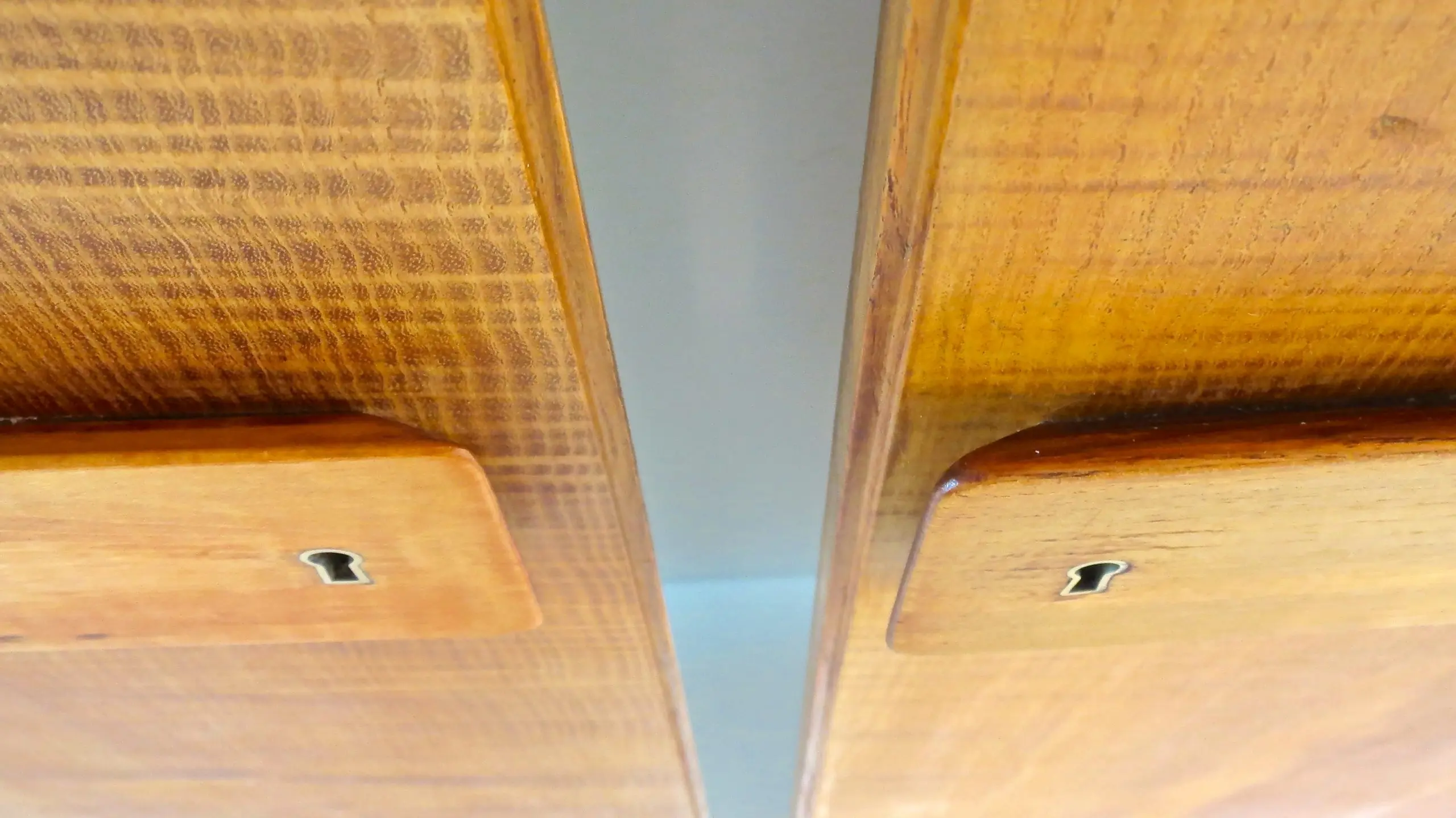 Pair of rare Gio Ponti Wardrobe Doors from the Hotel Royal, Naples, 1955 — photo 8