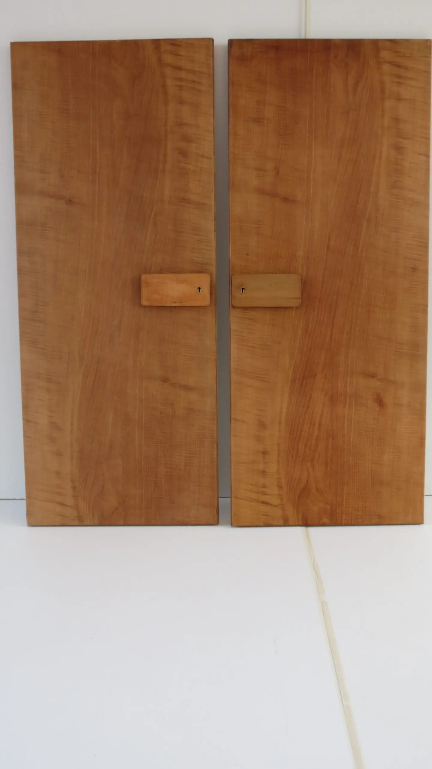 Pair of rare Gio Ponti Wardrobe Doors from the Hotel Royal, Naples, 1955 — image 3
