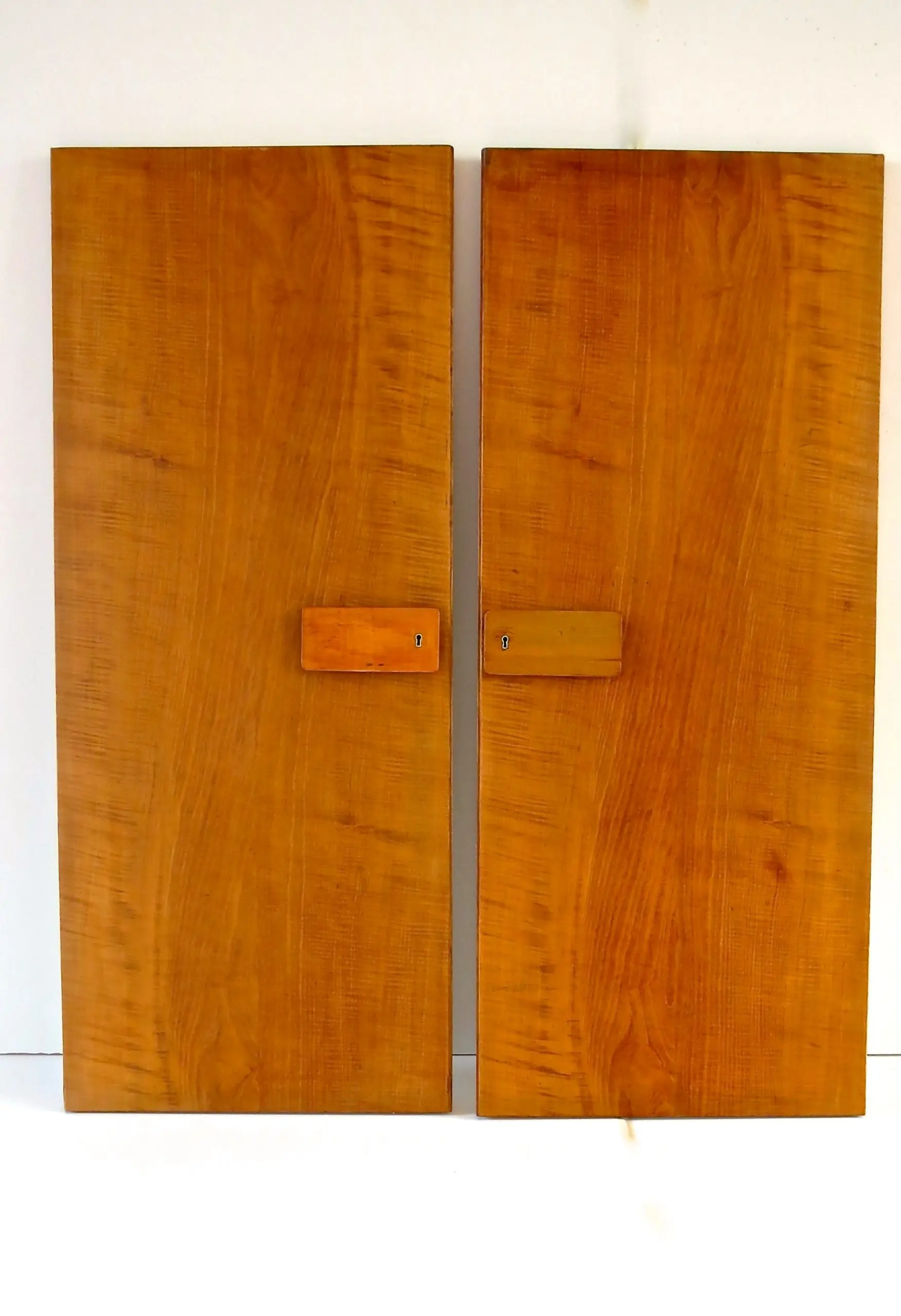 Pair of rare Gio Ponti Wardrobe Doors from the Hotel Royal, Naples, 1955 — image 2