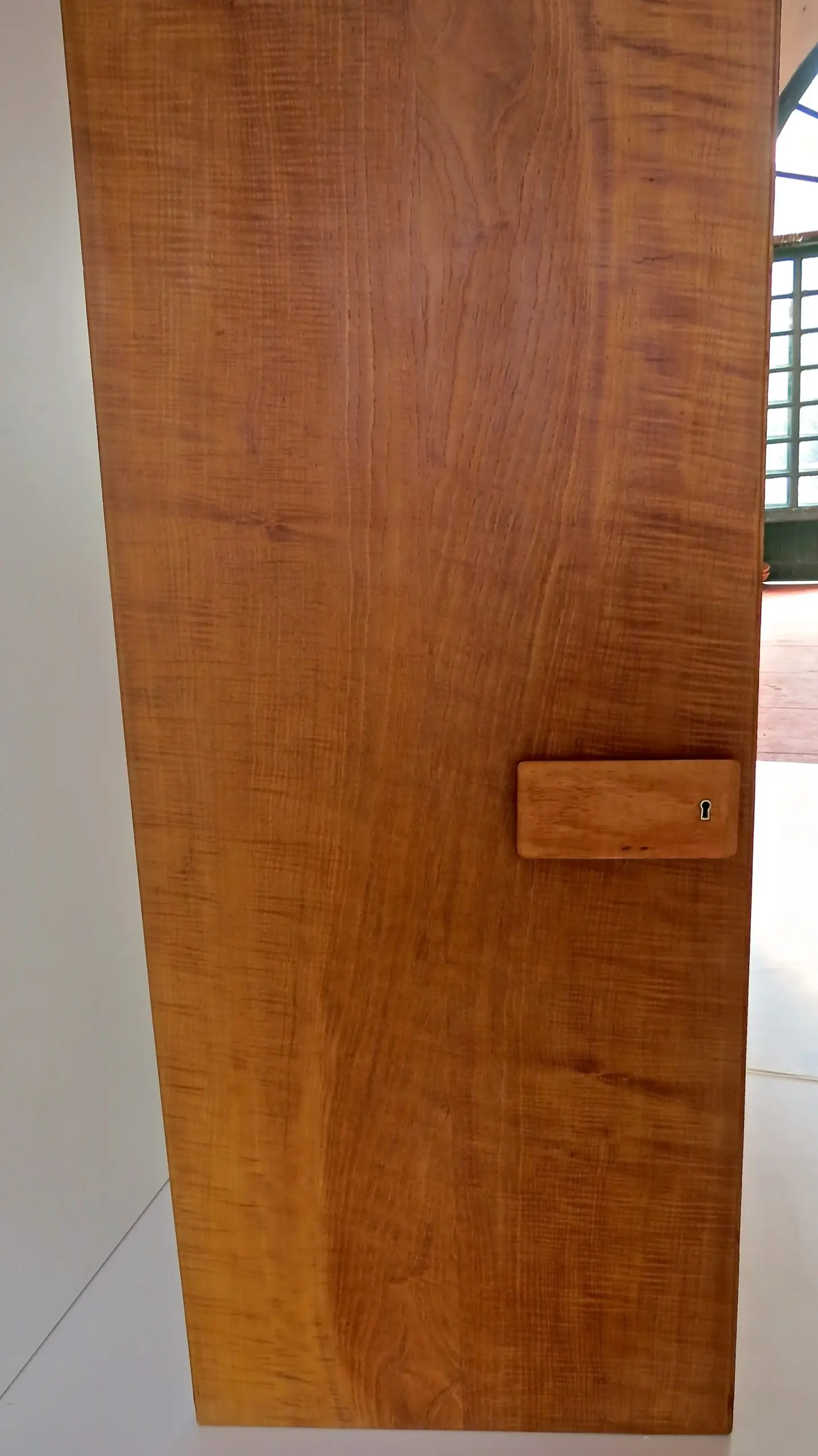 Pair of rare Gio Ponti Wardrobe Doors from the Hotel Royal, Naples, 1955 — photo 17