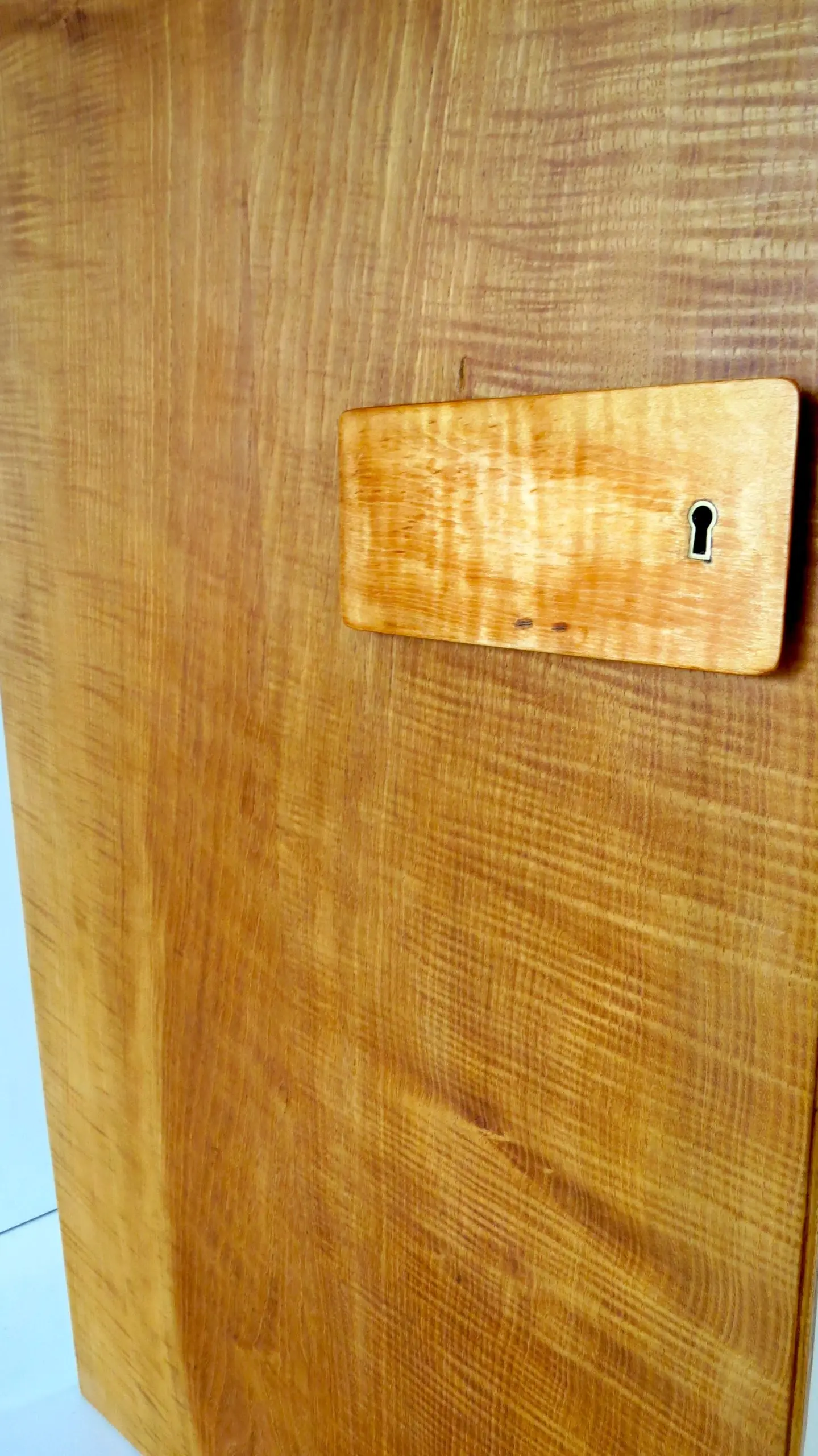 Pair of rare Gio Ponti Wardrobe Doors from the Hotel Royal, Naples, 1955 — photo 16