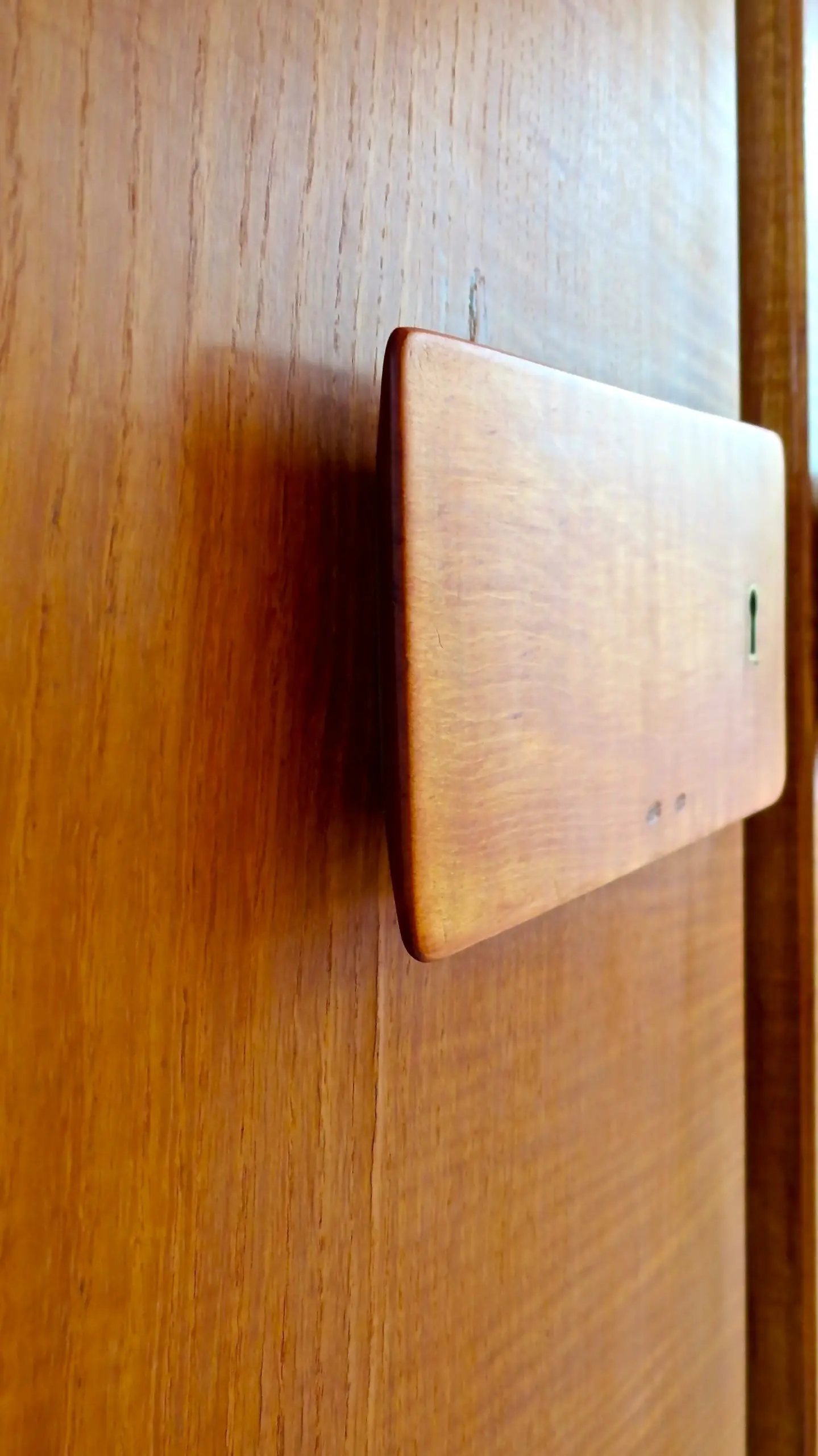 Pair of rare Gio Ponti Wardrobe Doors from the Hotel Royal, Naples, 1955 — photo 7