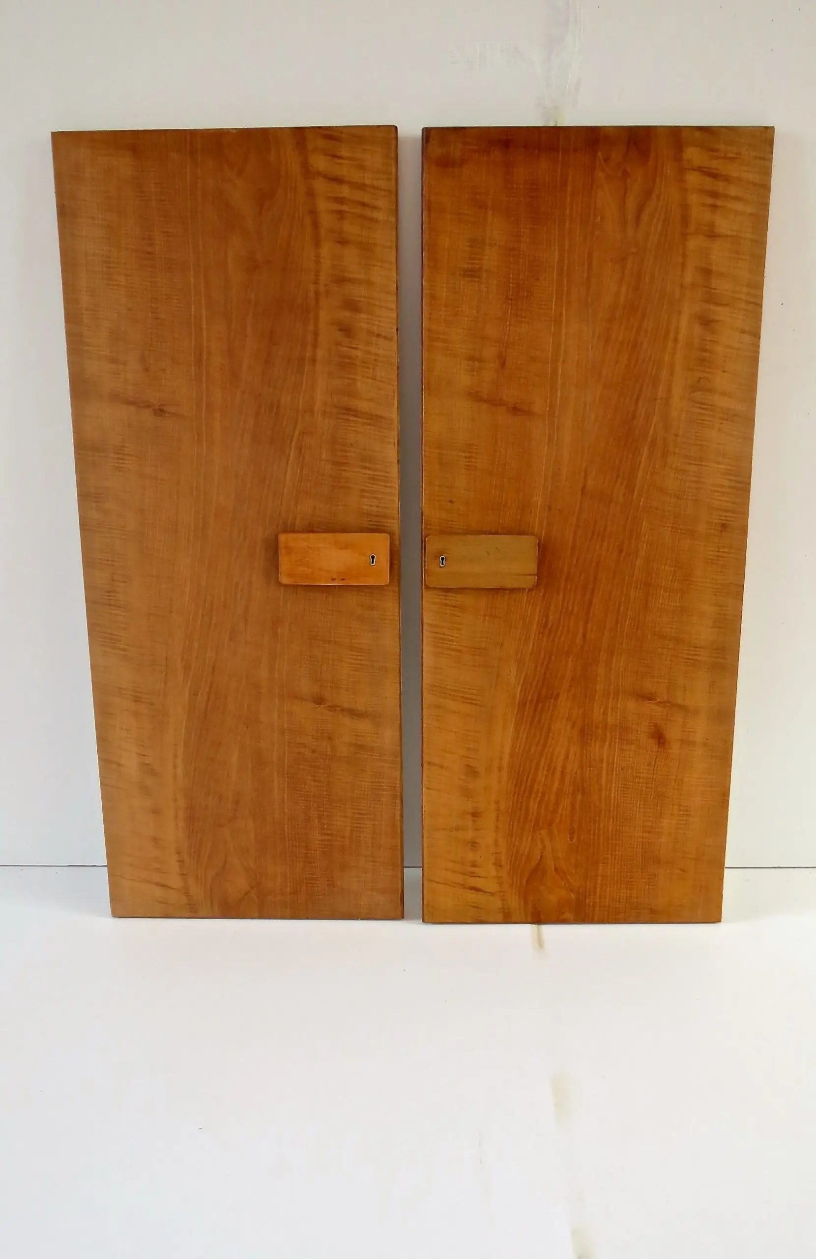 Pair of rare Gio Ponti Wardrobe Doors from the Hotel Royal, Naples, 1955 — photo 4